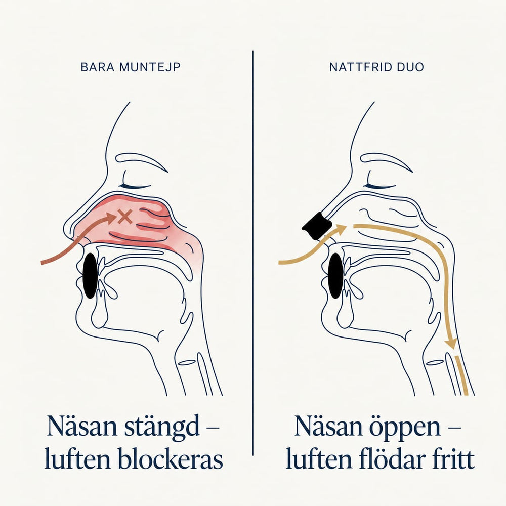 Mekanism-illustration: två lås – öppen näsa + stängd mun